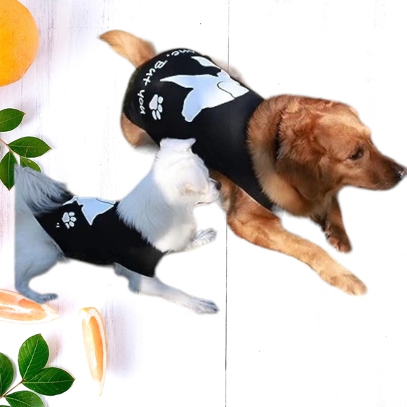 🐾 Dog Graphic T-Shirt, Large - Picture 2 of 7